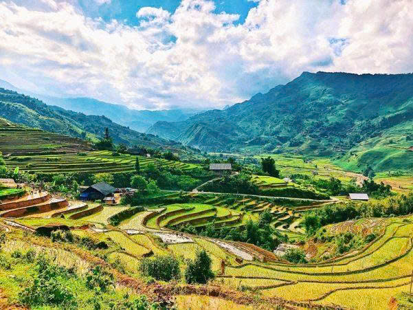 SAPA