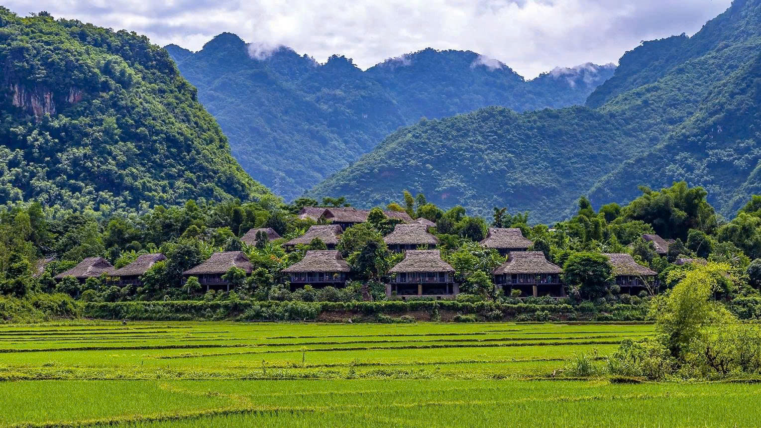 Mai châu